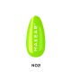 Gel Polish Neon N02