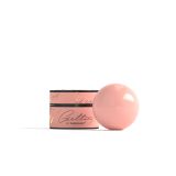 Geltix GT01 Perfect Blush15ml